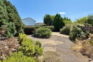 Side Garden- click for photo gallery